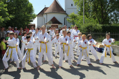 Vorführung in Fischach 25. Mai 2014